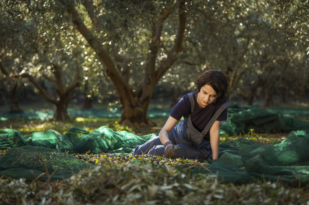 2020-OLIVERAIE MAS DES BORIES-DOROTHEE PIROELLE-1304-Modifier - MAS DES BORIES - Dorothée Piroëlle - Photographie
