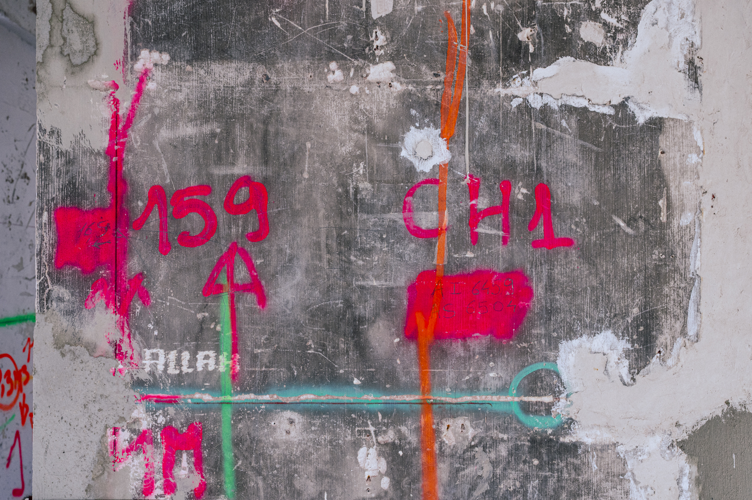 2023-02_PIERRE CHARRON-5096-2 - PIERRE CHARRON – FLUO - Dorothée Piroëlle - Photographie