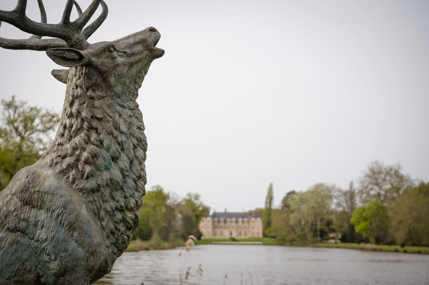 2024-LA BORDE_DOROTHEE PIROELLE-5616 - CHÂTEAU LA BORDE EN SOLOGNE - Dorothée Piroëlle - Photographie