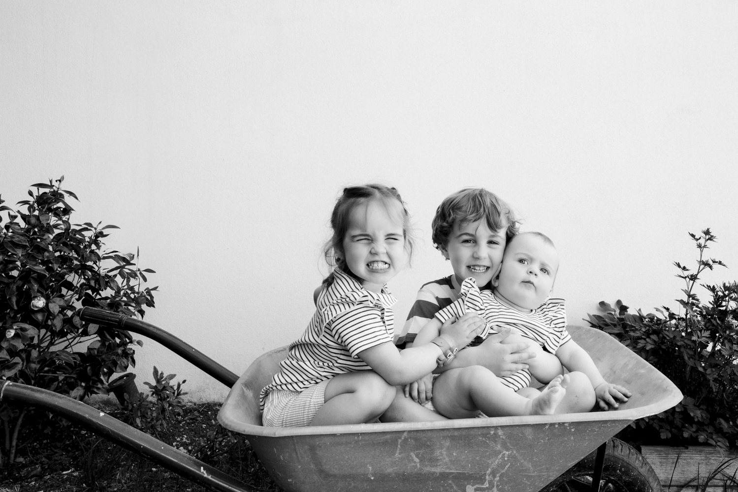 PERSO-1000317 - LES ROCHELAIS - Dorothée Piroëlle - Photographie